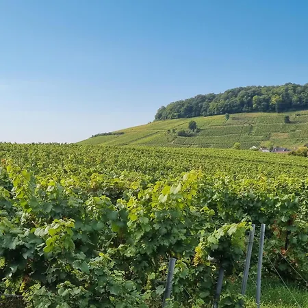 Charmante Maison A La Campagne بيت للعطل *